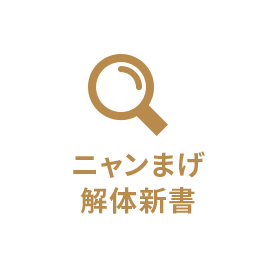 ニャンまげ解体新書