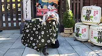 お正月さまの画像